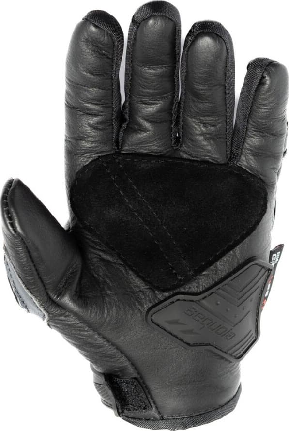 Guantes Caña corta de Cuero Raptor para Moto de Protección vista posterior - Proteccion para motociclista